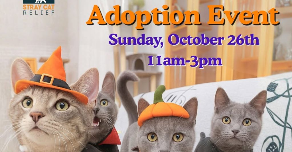 Meowlloween Adoption Event