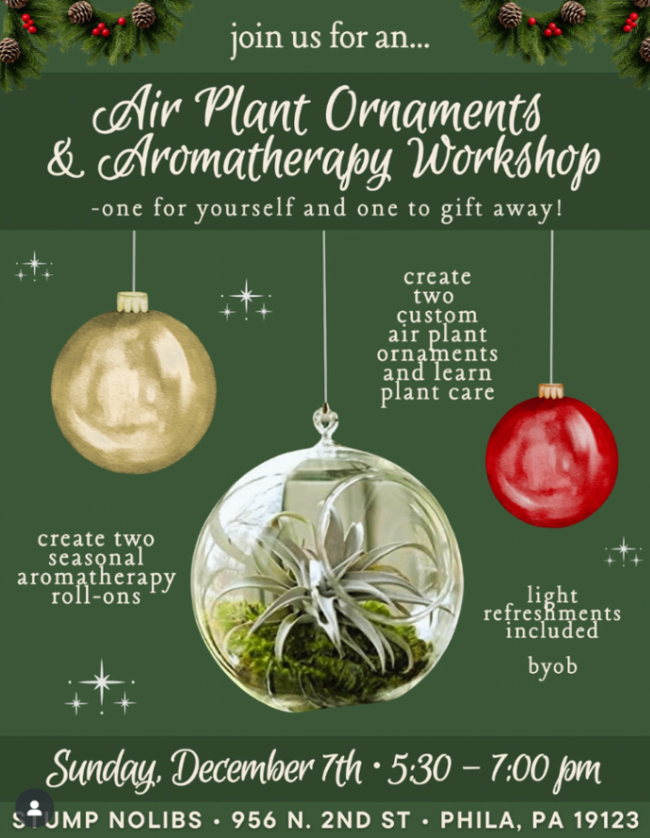 Air Plant Ornaments Workshop