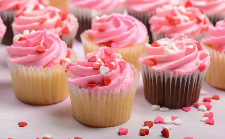 Valentine's Day Cupcake Decorating at Philadelphia Zoo