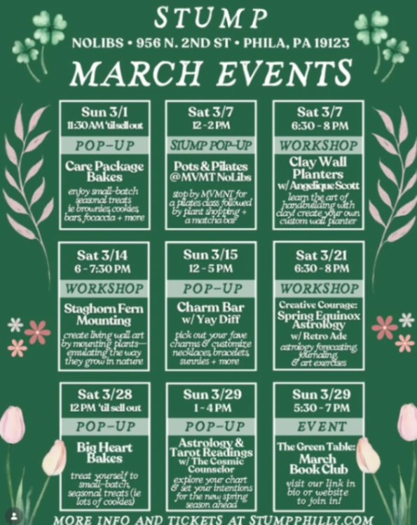 Staghorn Fern Mounting Workshop at Stump NoLibs
