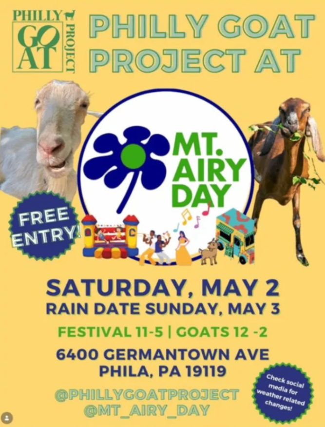 Philly Goat Project at Mt. Airy Day