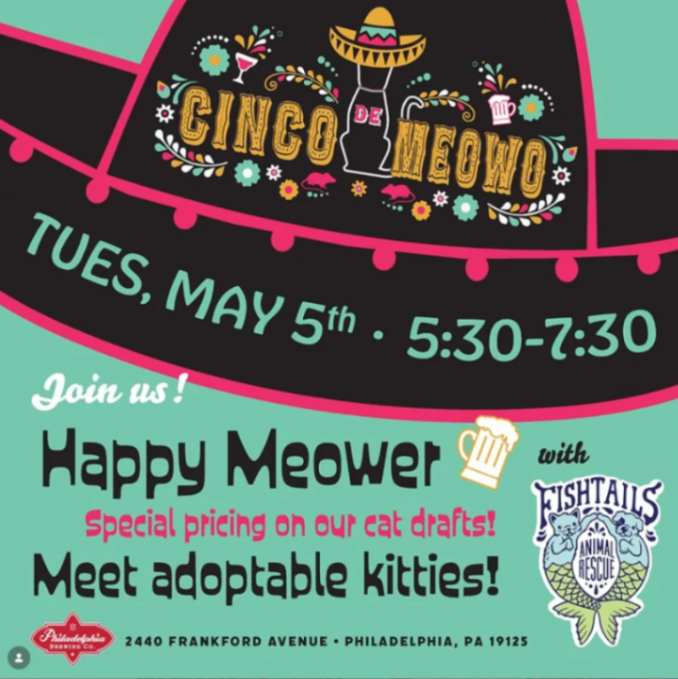 Cinco de Meowo Happy Meower at Philadelphia Brewing Co.
