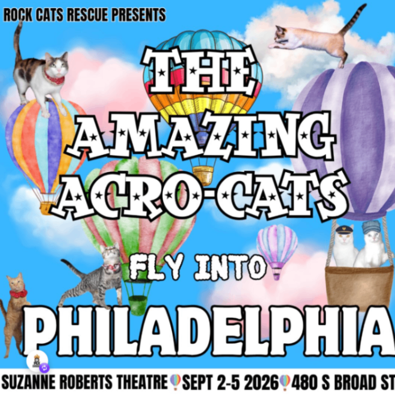 The Amazing Acro-Cats