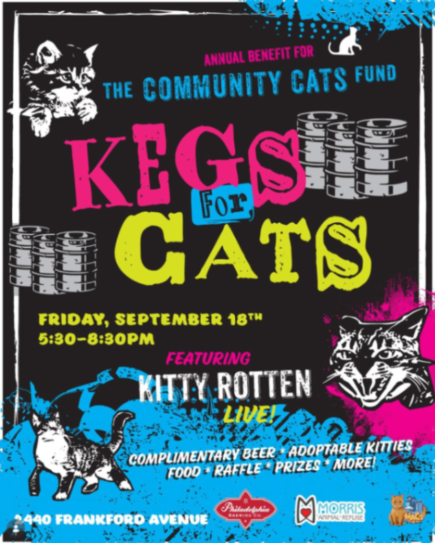 Kegs For Cats