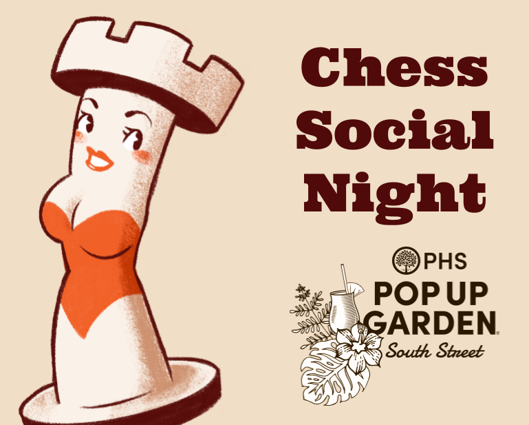 Chess Social Night