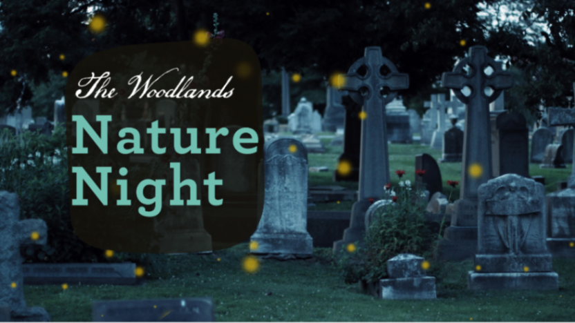 Nature Night at the Woodlands