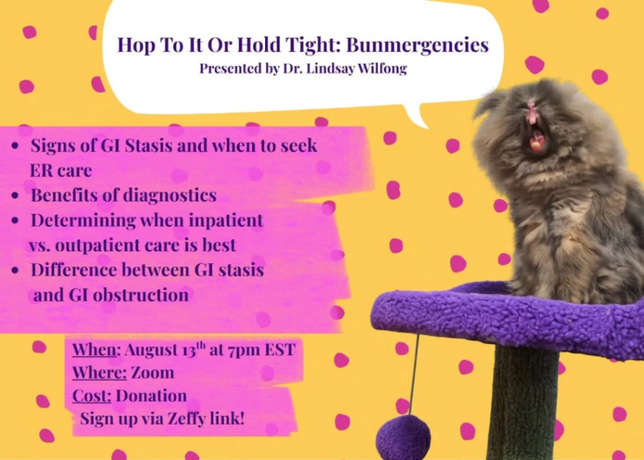 Hop To It Or Hold Tight: Bunmergencies - Thursday, August 13 at 7:00 PM, Philadelphia