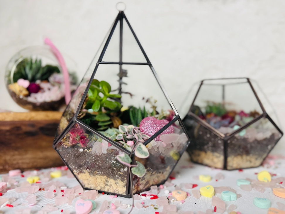 Valentine's Day Plant Workshop at Love City (Session 2)