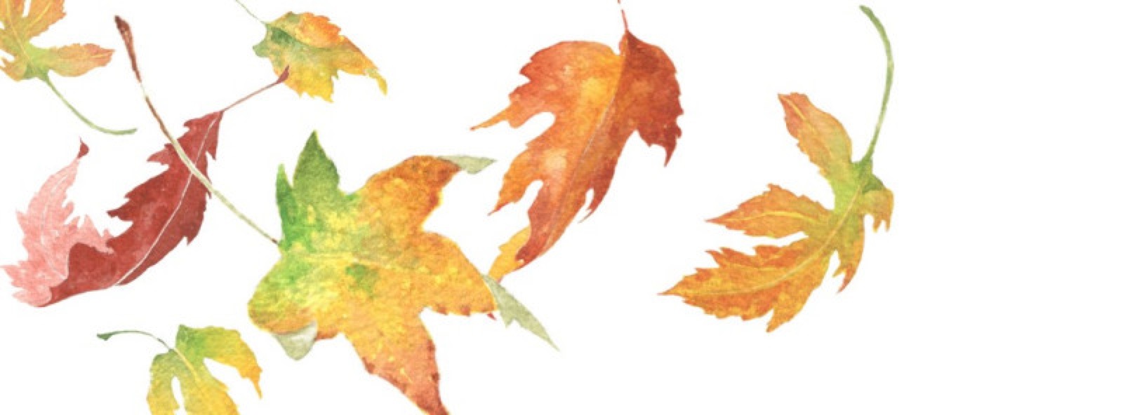 Weekend Workshop: Autumn Leaves and Fruit in Watercolor with Linda Gist