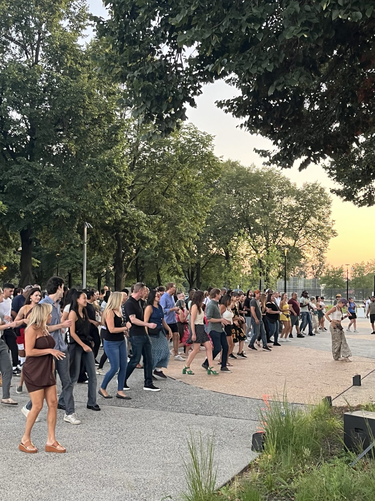 ¡Bailar en FDR! Salsa Class and Social Dance