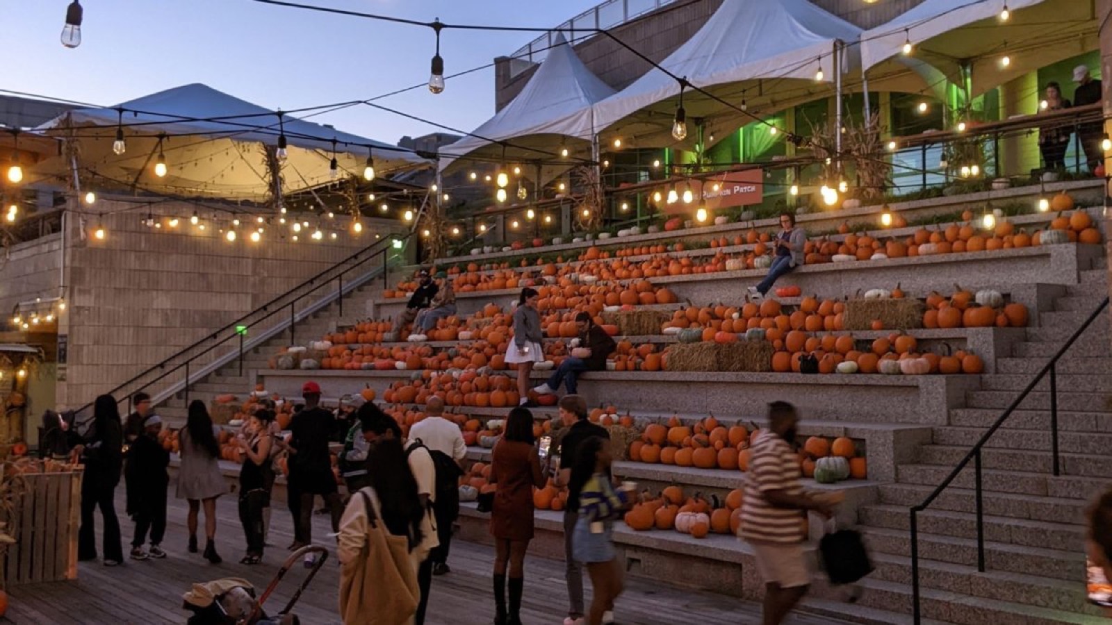 Cityside Pumpkin Patch at Liberty Point