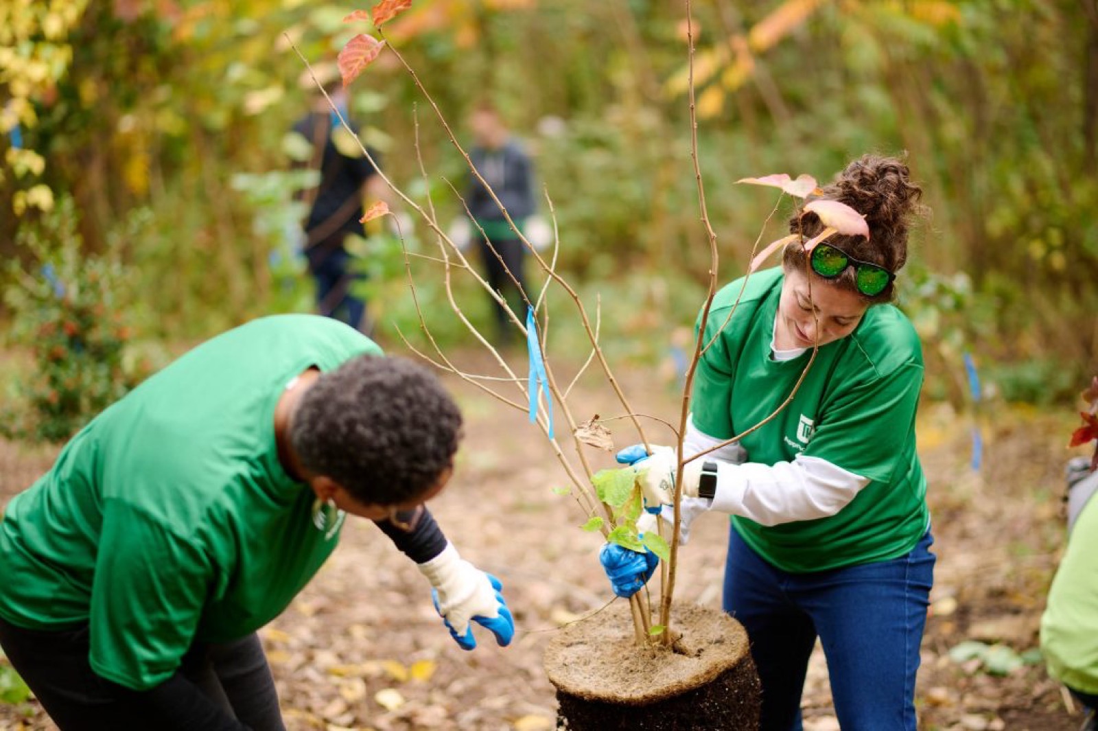 Community Planting at Cobbs Creek Park