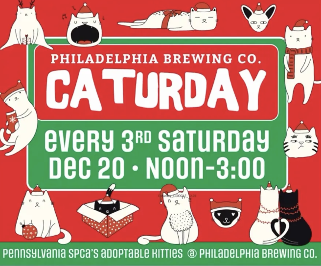 CATurday at Philadelphia Brewing Co.