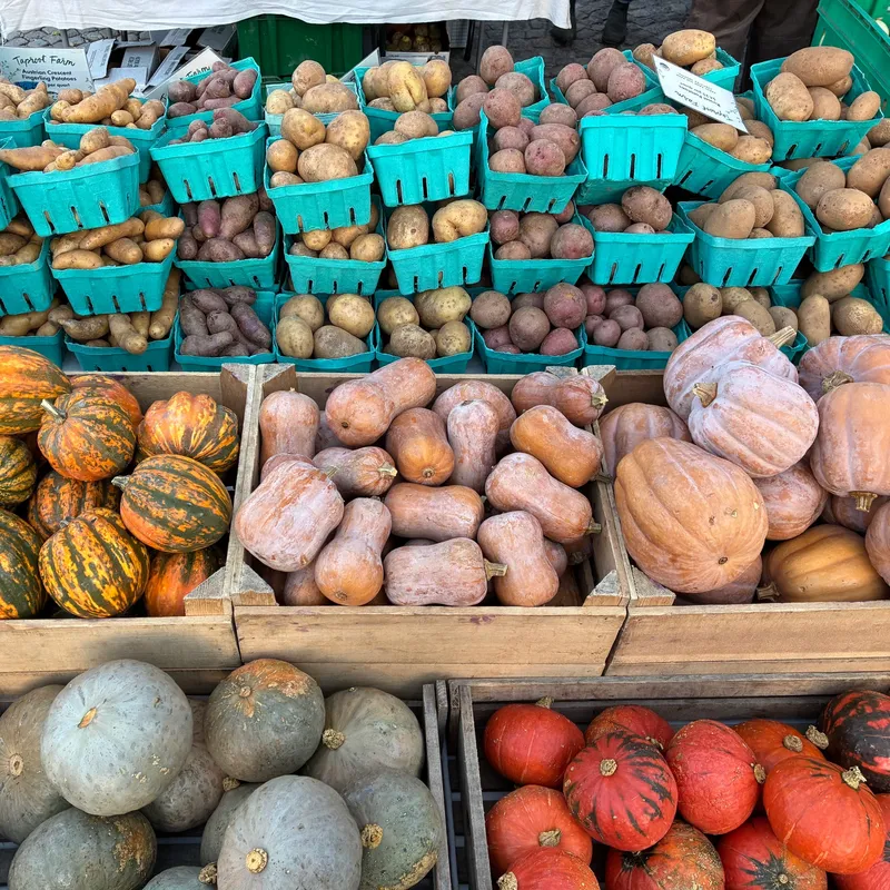 Chestnut Hill Farmers' Market