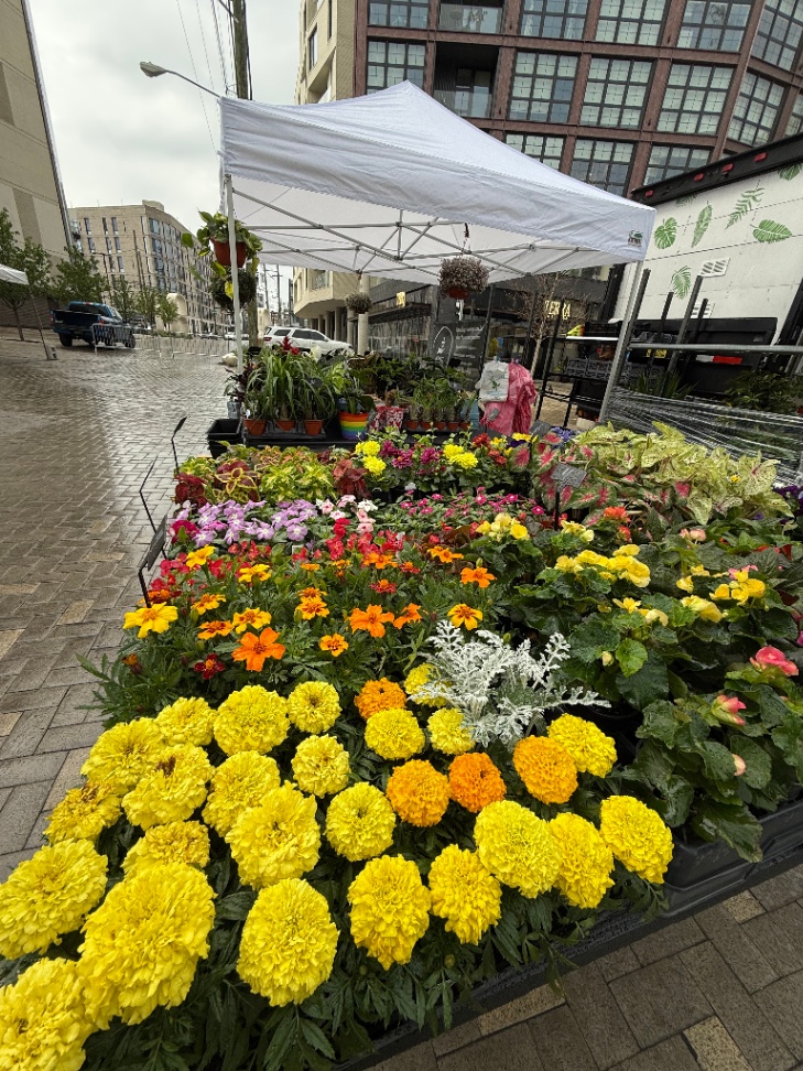 Northern Liberties Farmers Market Saturdays