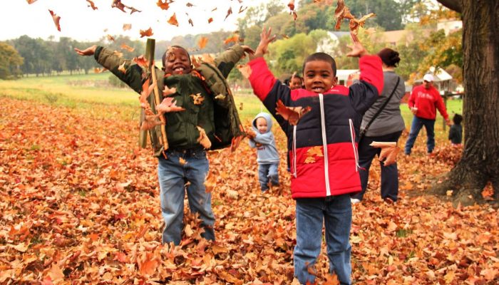 Philly Leaf Recycling Drop-Off