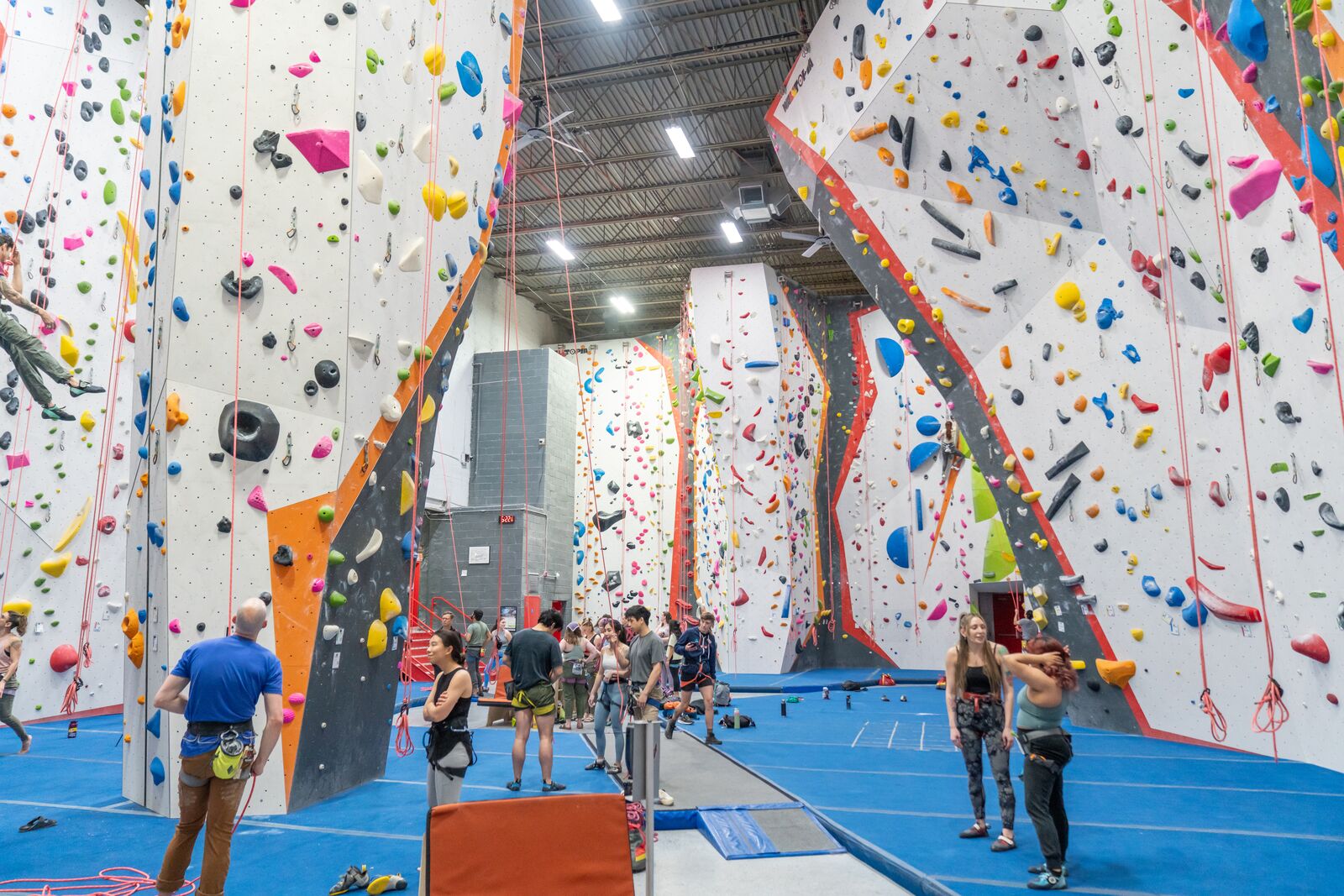 Industry and Healthcare Workers Day Climb