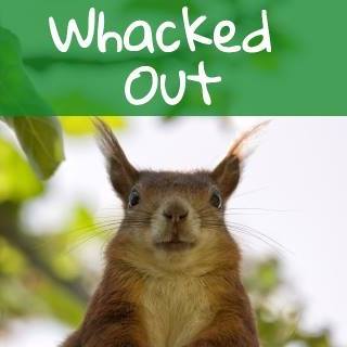 Bingo at Paddy Whacks